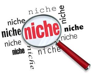 Резултат слика за find your niche