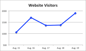 Website Visitors